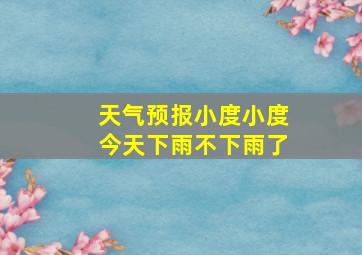 天气预报小度小度今天下雨不下雨了