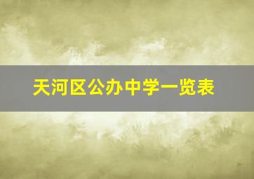 天河区公办中学一览表