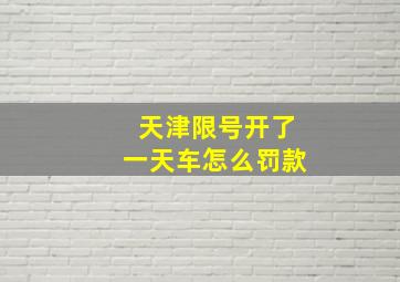 天津限号开了一天车怎么罚款