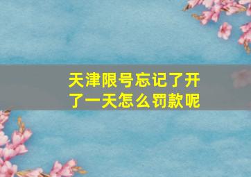 天津限号忘记了开了一天怎么罚款呢