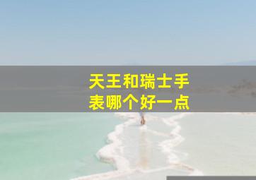 天王和瑞士手表哪个好一点