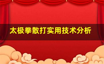 太极拳散打实用技术分析