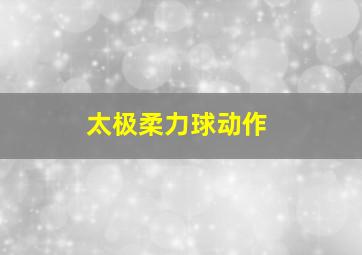 太极柔力球动作