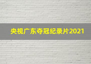 央视广东夺冠纪录片2021