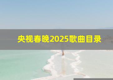 央视春晚2025歌曲目录