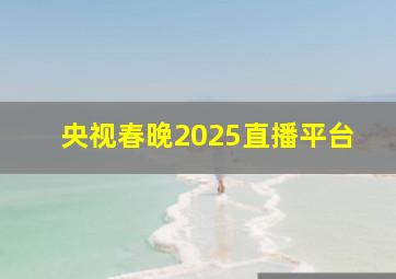 央视春晚2025直播平台