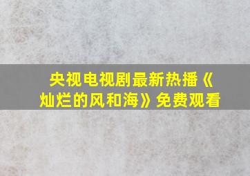 央视电视剧最新热播《灿烂的风和海》免费观看