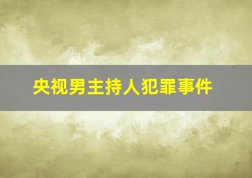 央视男主持人犯罪事件