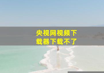 央视网视频下载器下载不了