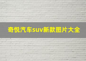 奇悦汽车suv新款图片大全