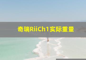 奇瑞RiiCh1实际重量