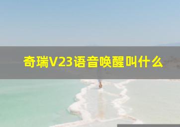 奇瑞V23语音唤醒叫什么