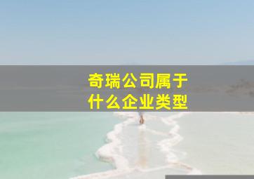 奇瑞公司属于什么企业类型