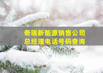 奇瑞新能源销售公司总经理电话号码查询