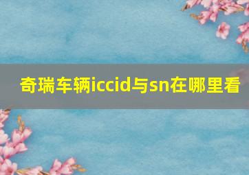 奇瑞车辆iccid与sn在哪里看