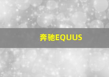 奔驰EQUUS