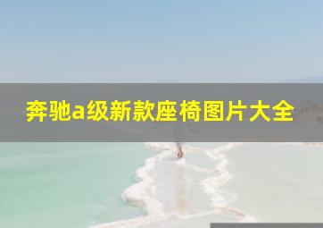 奔驰a级新款座椅图片大全