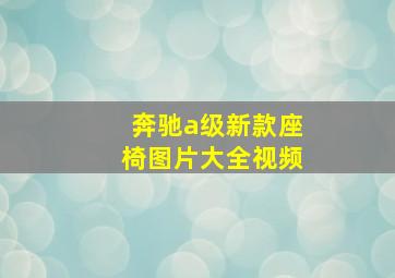 奔驰a级新款座椅图片大全视频