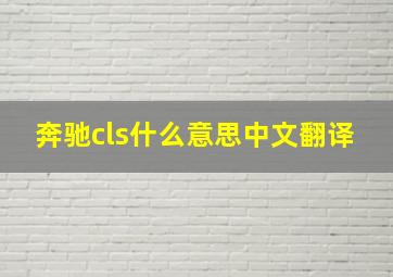 奔驰cls什么意思中文翻译