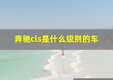 奔驰cls是什么级别的车