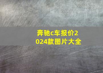 奔驰c车报价2024款图片大全