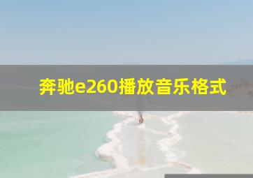 奔驰e260播放音乐格式