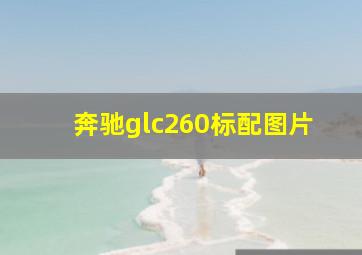 奔驰glc260标配图片