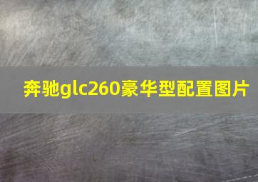 奔驰glc260豪华型配置图片