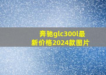 奔驰glc300l最新价格2024款图片