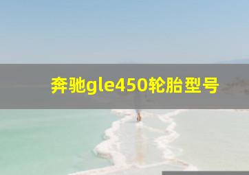 奔驰gle450轮胎型号