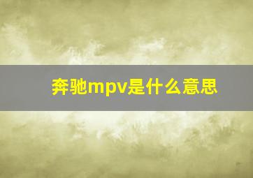 奔驰mpv是什么意思