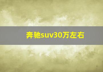 奔驰suv30万左右