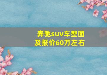 奔驰suv车型图及报价60万左右