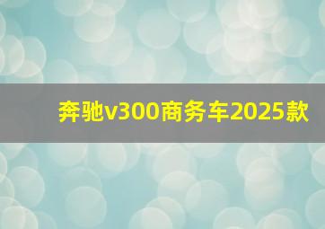 奔驰v300商务车2025款