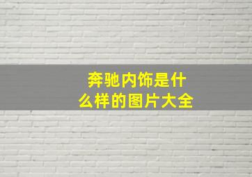 奔驰内饰是什么样的图片大全