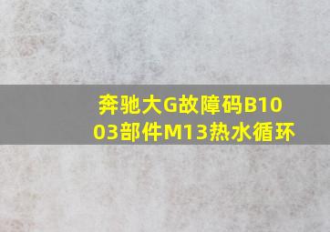 奔驰大G故障码B1003部件M13热水循环