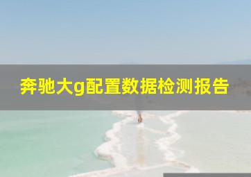 奔驰大g配置数据检测报告