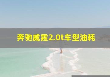 奔驰威霆2.0t车型油耗