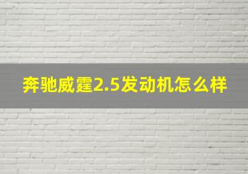 奔驰威霆2.5发动机怎么样