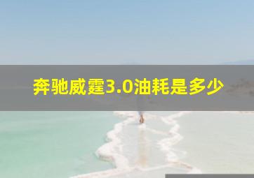 奔驰威霆3.0油耗是多少