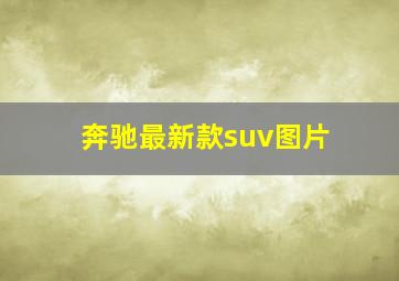 奔驰最新款suv图片