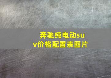 奔驰纯电动suv价格配置表图片