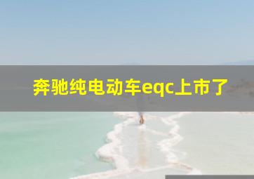 奔驰纯电动车eqc上市了