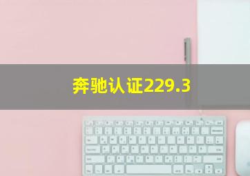 奔驰认证229.3