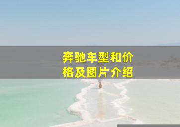 奔驰车型和价格及图片介绍