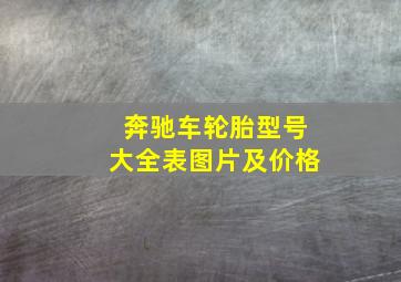 奔驰车轮胎型号大全表图片及价格