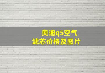 奥迪q5空气滤芯价格及图片