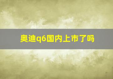 奥迪q6国内上市了吗