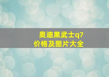 奥迪黑武士q7价格及图片大全