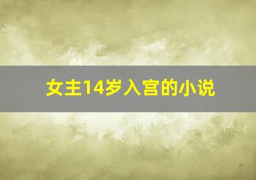 女主14岁入宫的小说